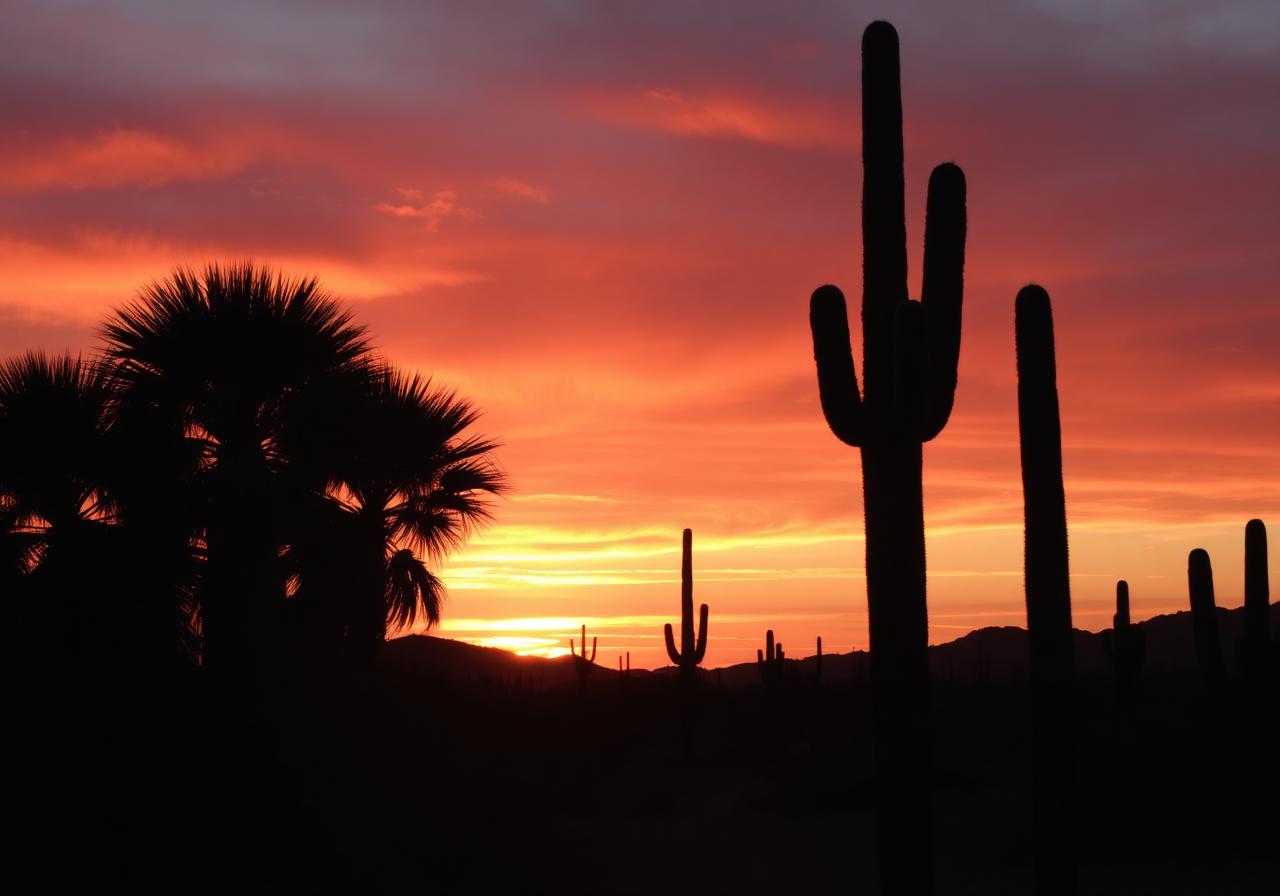 Yuma desert sunset